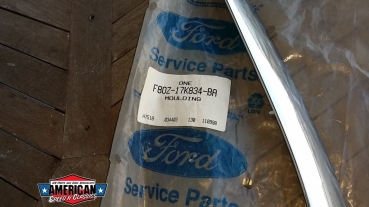 Preview: Ford Lincoln 1998-2002 Zierleiste Stoßstange Fahrerseite F8OZ-17K834-BA