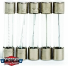 Fuse Assortment AGC 10 15 20 25 30 Amp